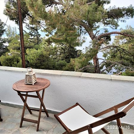 Pine Trees And Sea View Houses In Hydra - Daphne, Chloe, Myrto, Eleni Rom bilde