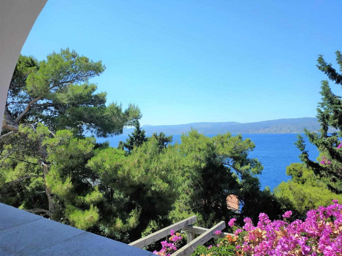 Pine Trees And Sea View Houses In Hydra - Daphne, Chloe, Myrto, Eleni Eksteriør bilde