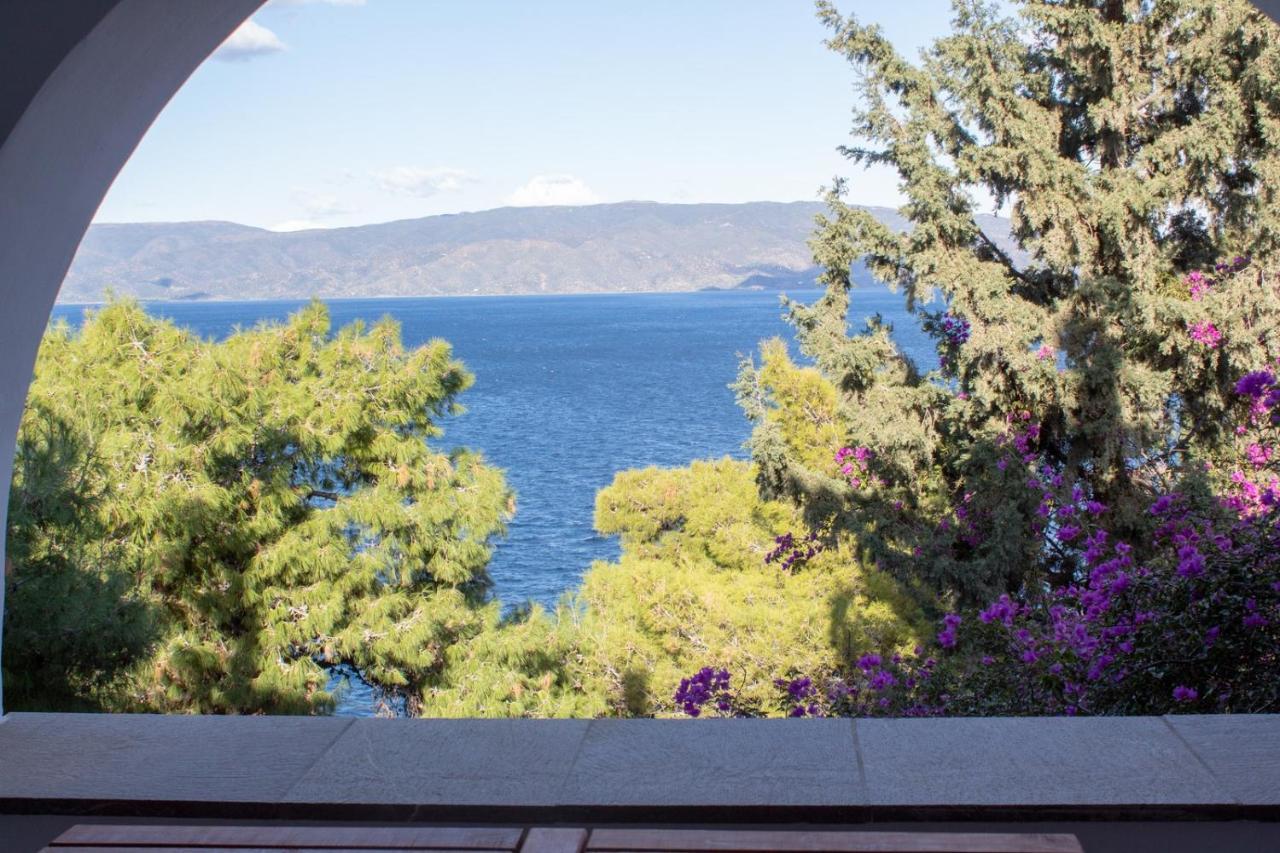 Pine Trees And Sea View Houses In Hydra - Daphne, Chloe, Myrto, Eleni Eksteriør bilde