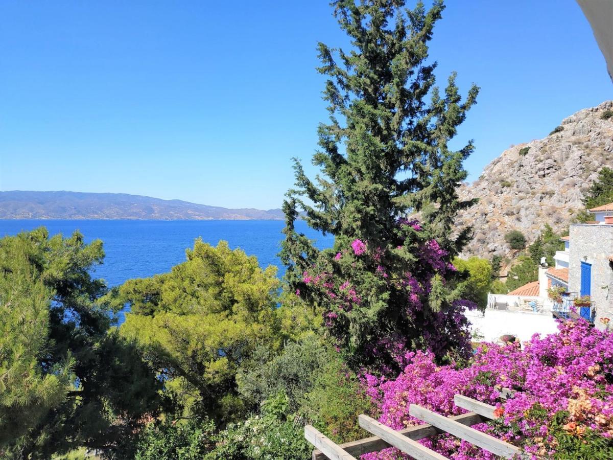 Pine Trees And Sea View Houses In Hydra - Daphne, Chloe, Myrto, Eleni Eksteriør bilde