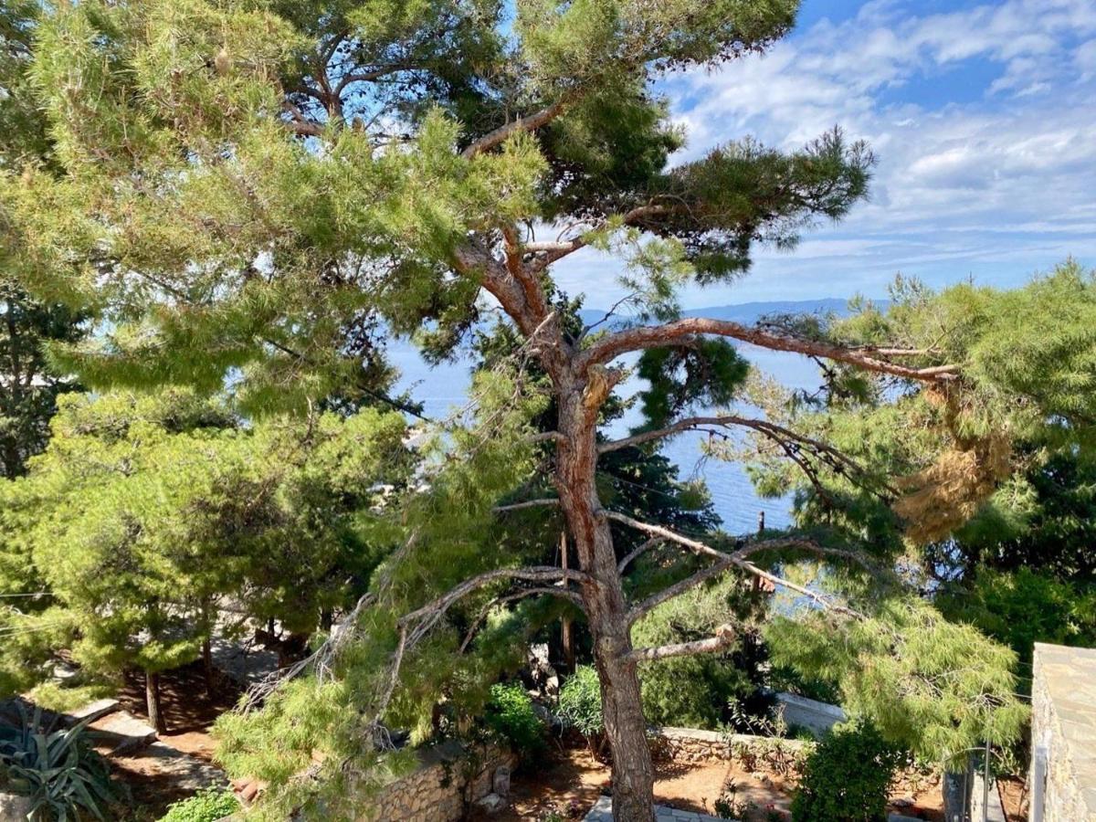 Pine Trees And Sea View Houses In Hydra - Daphne, Chloe, Myrto, Eleni Eksteriør bilde