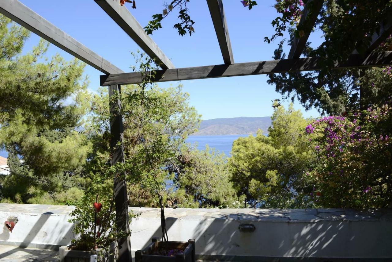 Pine Trees And Sea View Houses In Hydra - Daphne, Chloe, Myrto, Eleni Eksteriør bilde