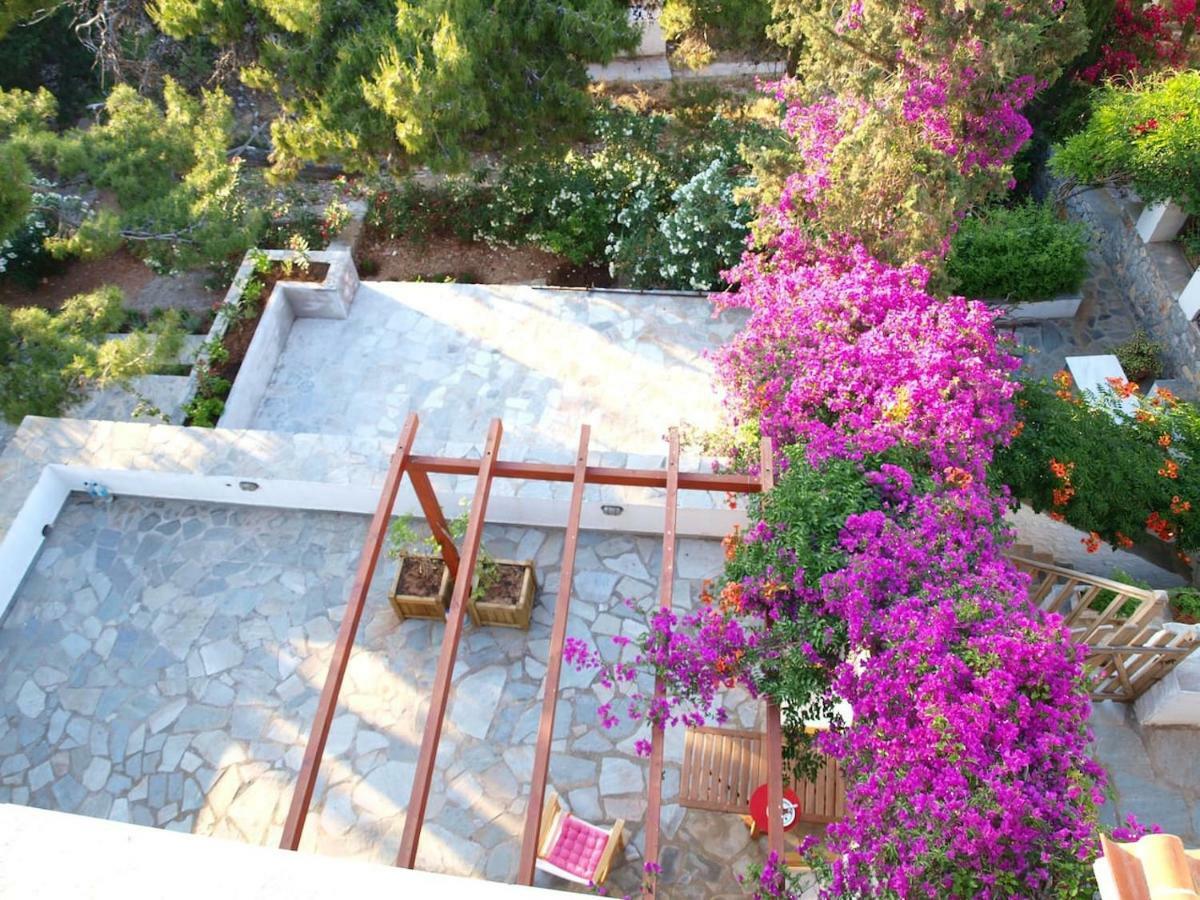 Pine Trees And Sea View Houses In Hydra - Daphne, Chloe, Myrto, Eleni Eksteriør bilde